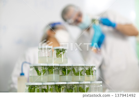 Male female scientist was carefully looking at the tissue samples 137941492