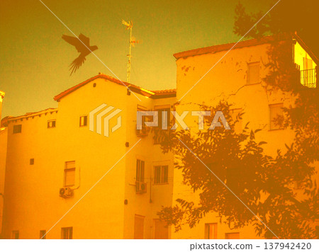 Lomography style street photography of a European building at golden hour. A flying bird silhouette create a nostalgic summer dream atmosphere. 137942420