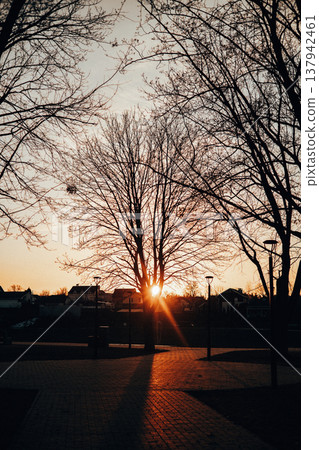 Golden hour sunset in a city park with bare trees and street lamps. Scenic urban landscape, bright sun flare through branches. 137942461