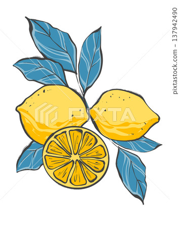 Vibrant yellow lemon citrus arrangement with contrasting blue leaves and round slice in original hand drawn illustration Vibrant yellow lemon citrus arrangement with contrasting blue leaves and round slice in original hand drawn illustration 137942490