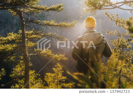 Male Hiker with Backpack in Sunset Pine Forest Male Hiker with Backpack in Sunset Pine Forest 137942723