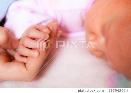 hand the sleeping baby girl in the palm of mother hand the sleeping baby girl in the palm of mother 137942924