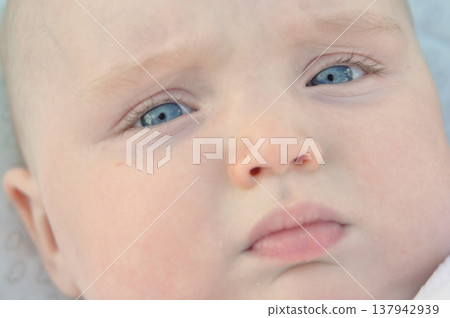 Close-Up of Baby with Calm Expression Close-Up of Baby with Calm Expression 137942939
