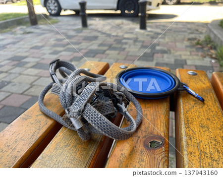 Dog leash and bowl left on a wooden bench in a park during a sunny day with a car parked nearby Dog leash and bowl left on a wooden bench in a park during a sunny day with a car parked nearby 137943160
