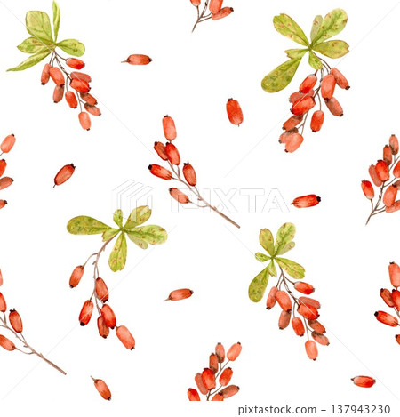 A seamless pattern featuring hand-drawn watercolor barberry branches with berries on an isolated background. Simple botanical autumn clip art for wrapping paper and textile designs. A seamless pattern featuring hand-drawn watercolor barberry branches with berries on an isolated background. Simple botanical autumn clip art for wrapping paper and textile designs. 137943230