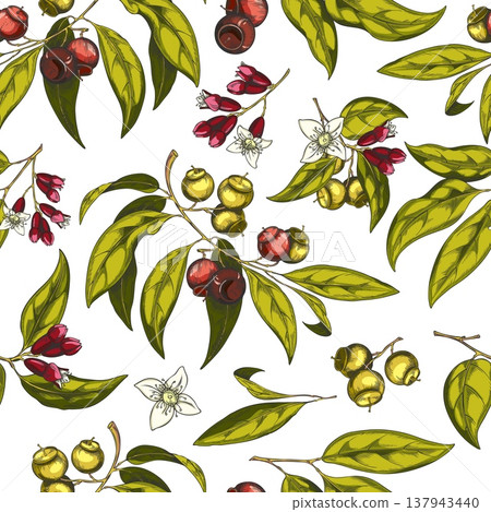 Sandalwood tree branch with leaves, flowers and seeds, vector sketch seamless pattern, cosmetics and perfume ingredient 137943440