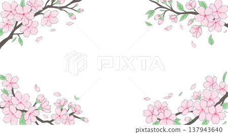 美麗的櫻花枝條框架 137943640