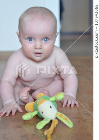 Curious Baby with Plush Toy on Floor Curious Baby with Plush Toy on Floor 137943668