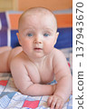 Curious Baby Lying on Colorful Bedspread 137943670