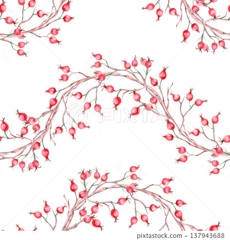 A seamless pattern with horizontal branches of ripe rose hips in a wave shape. Illustration for vegan products, herbal medicine, natural cosmetics, textiles, and vintage printing. 137943688