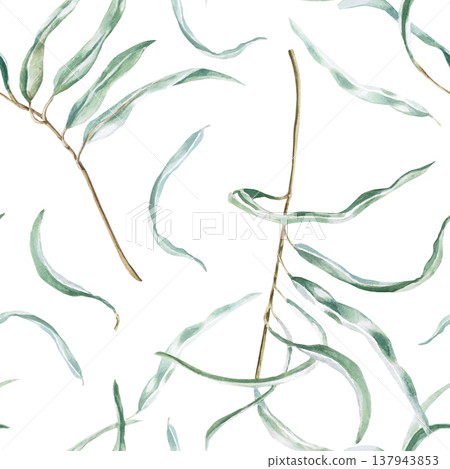 A seamless pattern of eucalyptus branches. Watercolor illustration for natural cosmetics, baby products, textiles, eco-brands, packaging, postcards, vintage designs, and wallpaper. 137943853