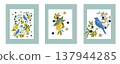 Beautiful vector birds among branches, lemons, plants and leaves 137944285