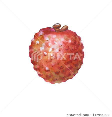 A whole pink lychee fruit on an isolated background. Watercolor illustration with an exotic fruit in the peel. Realistic botanical clipart for drinks, culinary designs, cocktails. 137944999