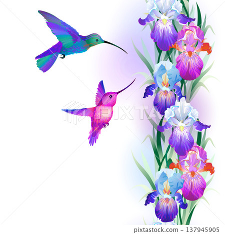 Seamless pattern with Iris and hummingbirds Seamless pattern with Iris and hummingbirds 137945905