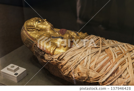 A mummy, encased in a gilded coffin, is partially exposed in a museum. A mummy, encased in a gilded coffin, is partially exposed in a museum. 137946428