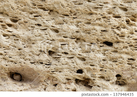 A rock with many holes in it A rock with many holes in it 137946435