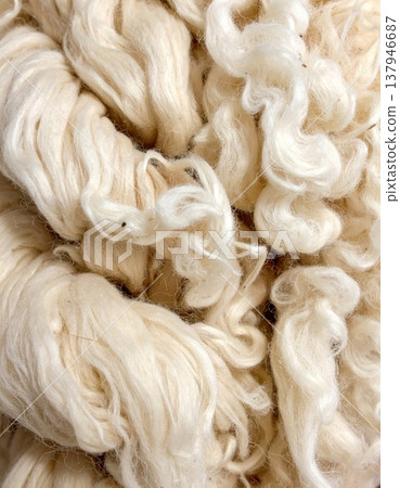 Close Up Soft White Wool Fiber Texture Background With Fluffy and Natural Feel 137946687