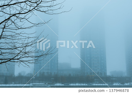 A serene moody minimalist winter landscape featuring bare tree branches against a dense morning fog in an urban setting. This atmospheric shot captures the quiet tranquility and city nature in haze. A serene moody minimalist winter landscape featuring bare tree branches against a dense morning fog in an urban setting. This atmospheric shot captures the quiet tranquility and city nature in haze. 137946878