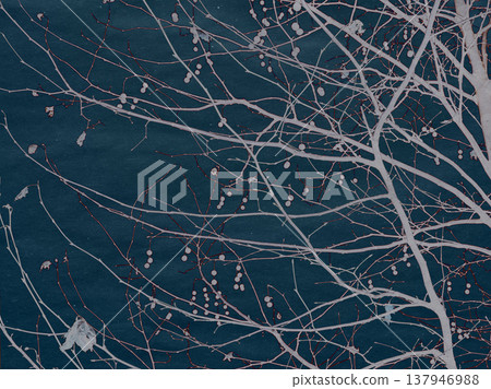 Abstract winter nature background with white bare tree branches on a dark blue paper texture. Minimalist artistic composition with intricate branch patterns. Ideal for wall art and creative design. Abstract winter nature background with white bare tree branches on a dark blue paper texture. Minimalist artistic composition with intricate branch patterns. Ideal for wall art and creative design. 137946988