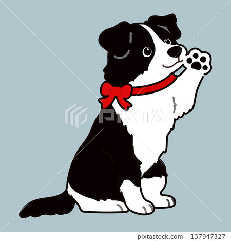 邊境牧羊犬揮手,輪廓線(紅色絲帶) 邊境牧羊犬揮手,輪廓線(紅色絲帶) 137947327