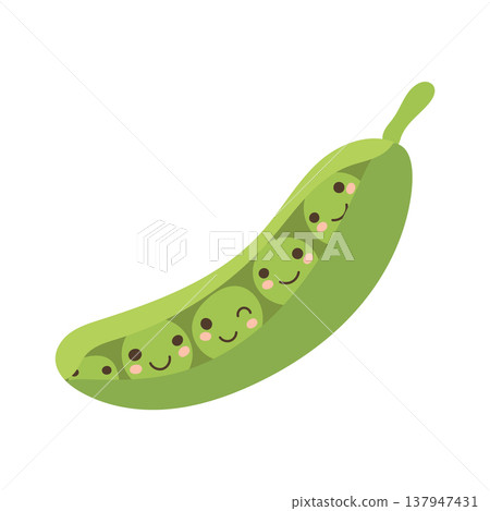 Pea isolated illustration and green food vector with cartoon white plant. Background healthy nature and pea garden pod with diet agriculture isolated. Health pea leaf and organic green bean Pea isolated illustration and green food vector with cartoon white plant. Background healthy nature and pea garden pod with diet agriculture isolated. Health pea leaf and organic green bean 137947431