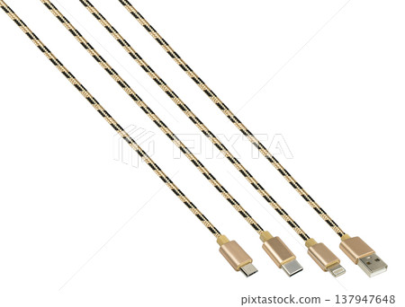 Cable and connector for USB, Type-C, Micro USB, Lightning, on a white background, collage 137947648