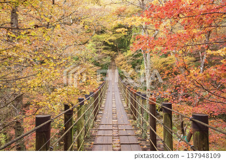 Ibaraki: Autumntime Hananuki Valley 137948109