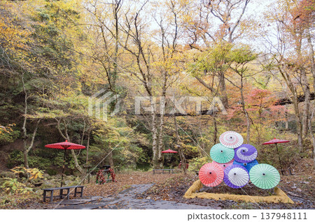 茨城縣花貫溪谷 137948111