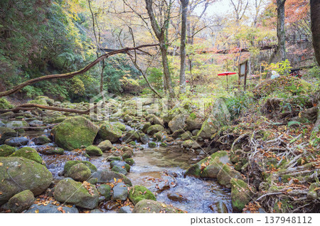 Hananuki Valley, Ibaraki Prefecture Hananuki Valley, Ibaraki Prefecture 137948112