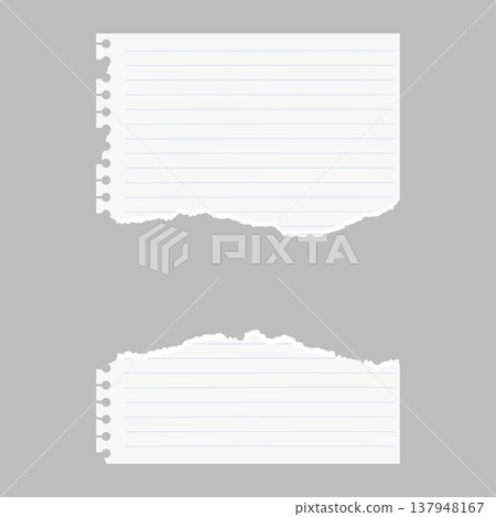 Torn scraps of lined notebook paper with jagged edges. Torn scraps of lined notebook paper with jagged edges. 137948167