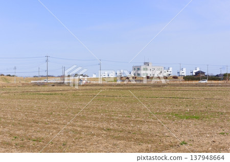 2026年3月,茨城縣取手市岡關附近 2026年3月,茨城縣取手市岡關附近 137948664