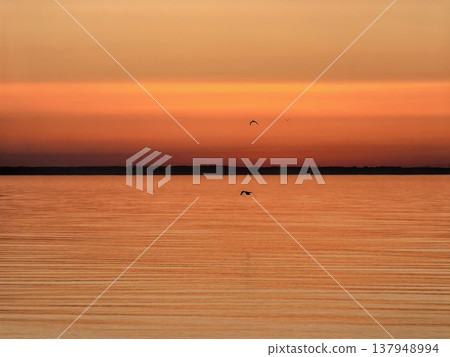 Serene sea sunset in orange colors, seagull over the sea Serene sea sunset in orange colors, seagull over the sea 137948994