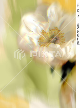 Blurred flower card. Floral composition for interior design, print, fabric or background. 137949198