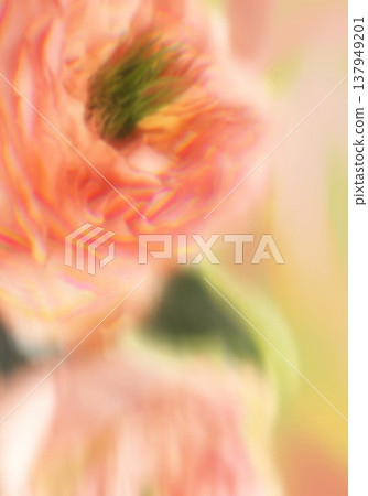 Blurred flower card. Floral composition for interior design, print, fabric or background. 137949201