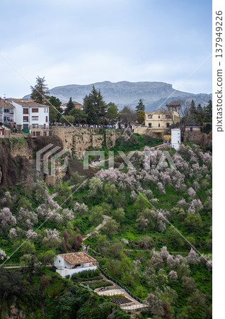 Panoramic view of surrounding landscapes and mountains from scenic elevated viewpoint in Ronda, Spain. 137949226