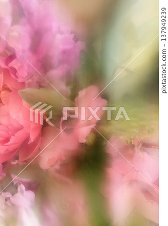 Blurred flower card. Floral composition for interior design, print, fabric or background. 137949239