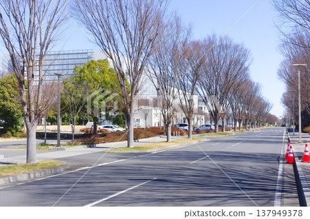 2026年3月,東京大學柏校區週邊,千葉縣柏市 2026年3月,東京大學柏校區週邊,千葉縣柏市 137949378