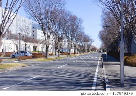 2026年3月,東京大學柏校區週邊,千葉縣柏市 2026年3月,東京大學柏校區週邊,千葉縣柏市 137949379