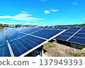 Solar power plants coexisting with abundant nature: an image of renewable energy. 137949393