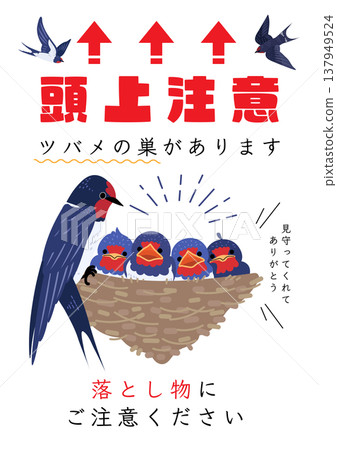Poster material for warning about swallows' nests: A4 poster encouraging consideration for droppings. 137949524