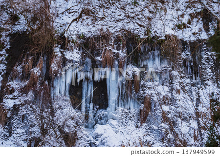 [Tsuchijiri River] Ice formations on the rock face [Ogawa Village, Kamiminochi District] 137949599