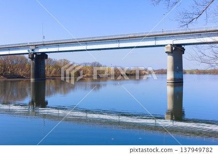Kamikatsushikabashi, Matsudo City, Chiba Prefecture, March 2026 Kamikatsushikabashi, Matsudo City, Chiba Prefecture, March 2026 137949782