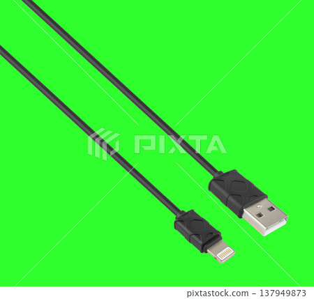 cable with USB connector and Lightning USB, on a green background cable with USB connector and Lightning USB, on a green background 137949873