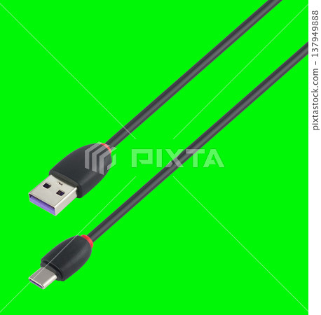 cable with USB and Type-C connector, on a green background cable with USB and Type-C connector, on a green background 137949888