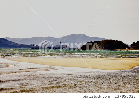 The tide has receded far out to sea at Nijigahama Beach during a spring tide. 137950025