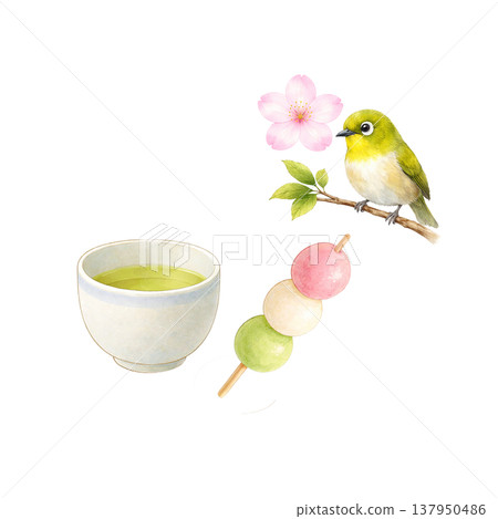 團子（米粉團子）、綠茶、小鳥、櫻花、春天、日式咖啡館、水彩插畫素材 137950486