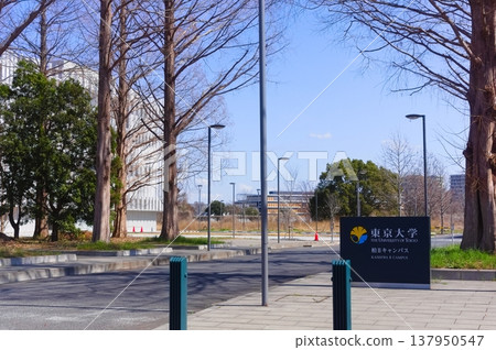Around Kashiwanoha Park, Kashiwa City, Chiba Prefecture, March 2026 137950547