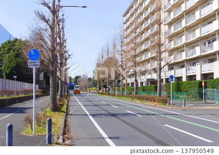 2026年3月,千葉縣柏市柏之葉公園附近 2026年3月,千葉縣柏市柏之葉公園附近 137950549