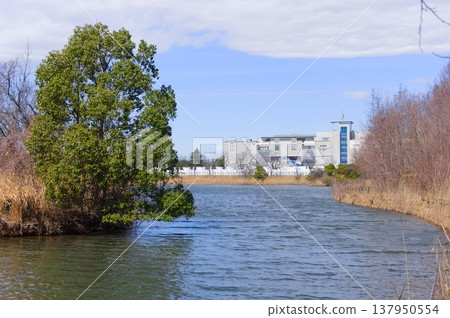 Around Kashiwanoha Park, Kashiwa City, Chiba Prefecture, March 2026 Around Kashiwanoha Park, Kashiwa City, Chiba Prefecture, March 2026 137950554