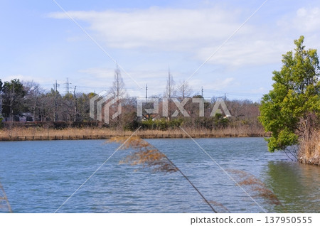 Around Kashiwanoha Park, Kashiwa City, Chiba Prefecture, March 2026 Around Kashiwanoha Park, Kashiwa City, Chiba Prefecture, March 2026 137950555